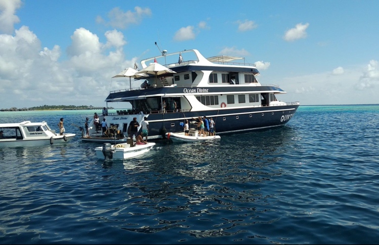 ސަފާރީއެއްގައި ރޯވެ، އޭގެ ވެރިމީހާ ޒަހަމްވެއްޖެ