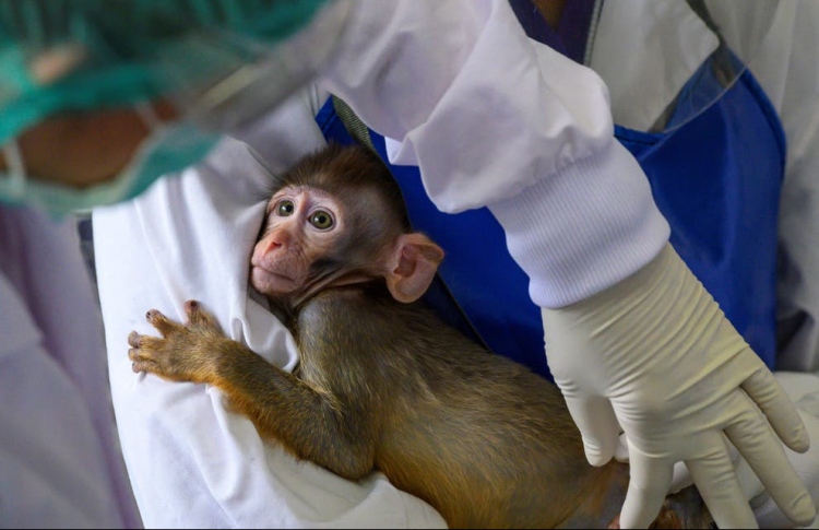 ދިރާސާތަކަށް މަކުނު ލިބުން ދަތިވެގެން މަކުނު އާލާކުރަނީ