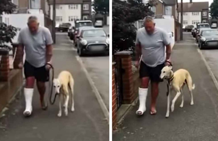 ވެރިޔާ ކޮރުޖަހާތީ ކުއްތާ ވެސް ހިނގަނީ އެގޮތަށް