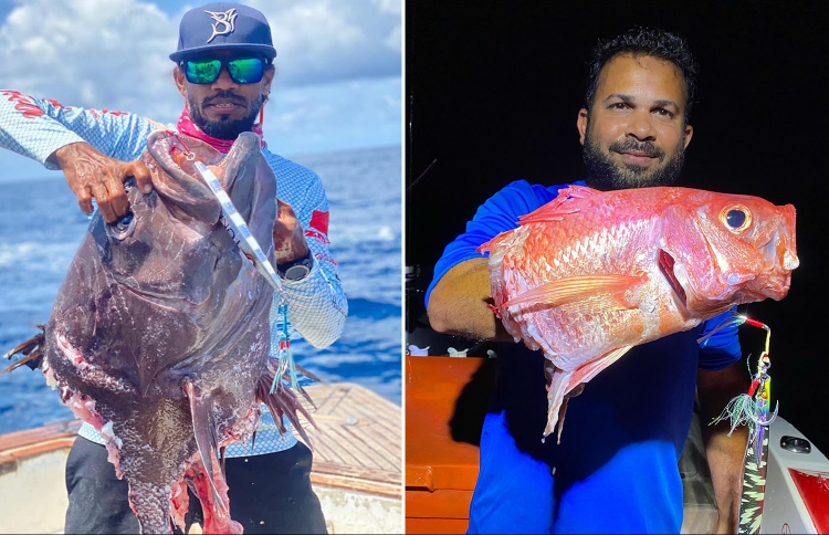 މިޔަރުތައް މި އުޅެނީ ކިހިނެއް ވެގެން؟