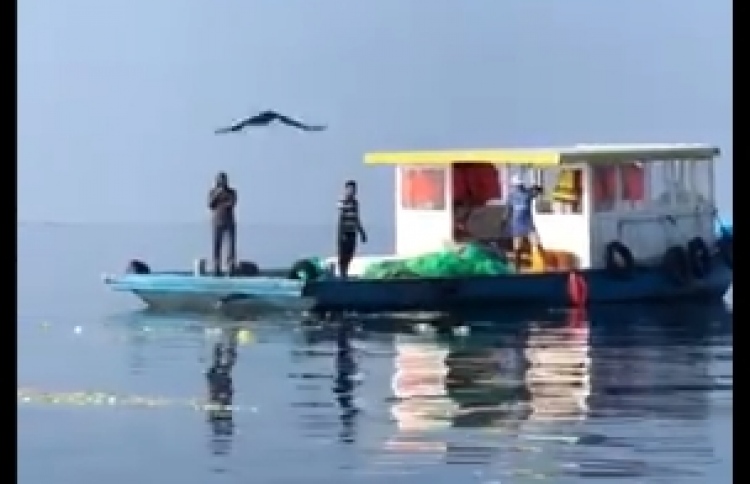 މޫދަށް ކުނި އުކާލުން އެހާމެ ފަސޭހަ!