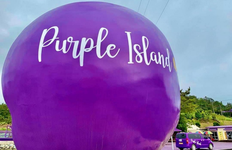 މި ރަށުގެ ހުރިހާ ތަނެއްގައި ދަނބުކުލަ