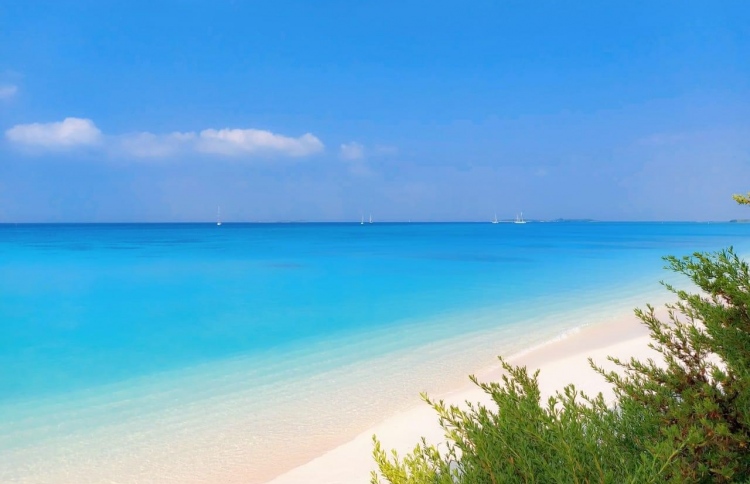 އުލިގަމުގައި އެމްޕީއެލްއިން ޔޮޓް މެރީނާއެއް ހަދަނީ