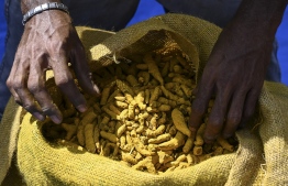 In this picture taken on December 14, 2020, customs officials examine turmeric imported illegally into Sri Lanka at a warehouse in Colombo. - An import ban in cash-strapped Sri Lanka is leaving a bad taste in the mouths of its curry-lovers, depriving them of vital turmeric supplies and encouraging budding smugglers to take their chances with the spice. (Photo by LAKRUWAN WANNIARACHCHI / AFP) / 