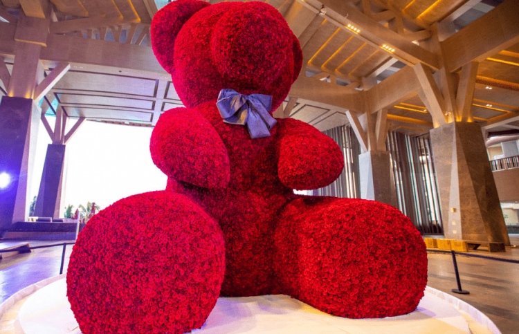 އެތައް ހާސް ފިނިފެންމަލުގެ ޓެޑީ ބެއާއަކަށް ރެކޯޑެއް