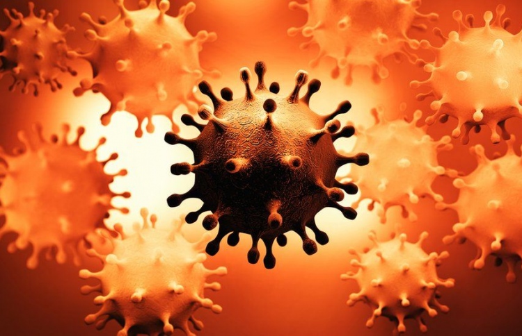 ކޮވިޑްގެ އަސްލު ވައިރަސް މިހާރަކު ނުފެނޭ