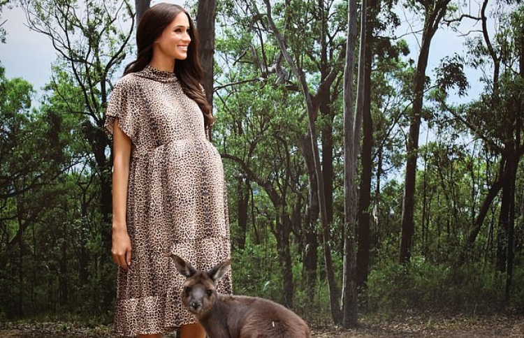 މޭގަންގެ ސްޓެޗޫ ވެސް ބަނޑުބޮޑުކޮށް