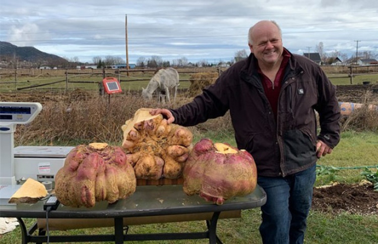 ކިލޯއެއް ހުންނަ ތަރުކާރީއެއް 29 ކިލޯއަށް ބޮޑުވެއްޖެ