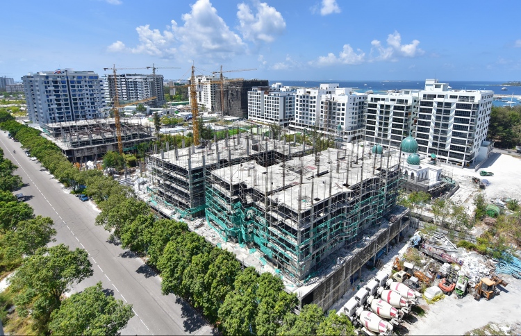 ރީތިގަސް ޓަވަރުތައް ހަދާނީ ވިއްކައިގެން ލިބޭ ފައިސާ