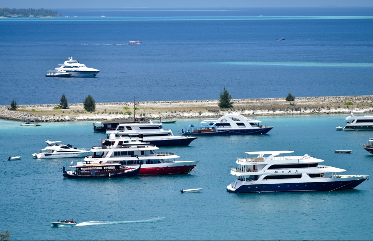 ސަފާރީ ކޭސް: އަދިވެސް މައްސަލަ އިބްތިދާއީ މަރުހަލާގައި