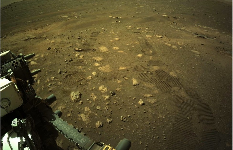 މާސްގައި ފުރަތަމަ ފަހަރަށް ޕާސަވިއަރެންސް ދުއްވާލައިފި