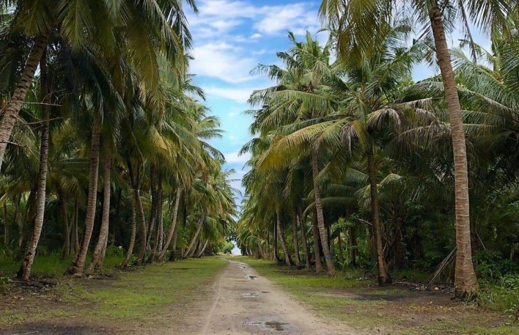 ސިހުރުގެ ތުހުމަތުގައި ބާރަށުގެ 8 ތަނެއް ފާސްކޮށްފި