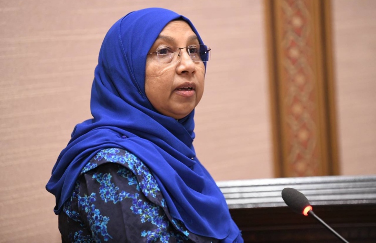 "ގޭގައި ތިބެ އާމްދަނީ ހޯދާ އަންހެނުންގެ ދައުރު ބޮޑު"