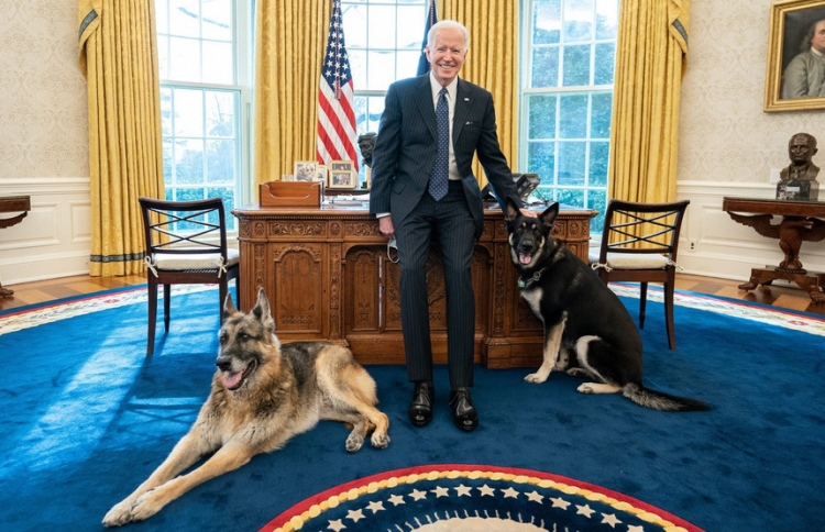 ބައިޑެންގެ ކުއްތާތައް ވައިޓް ހައުސް އިން ބޭރުކޮށްފި