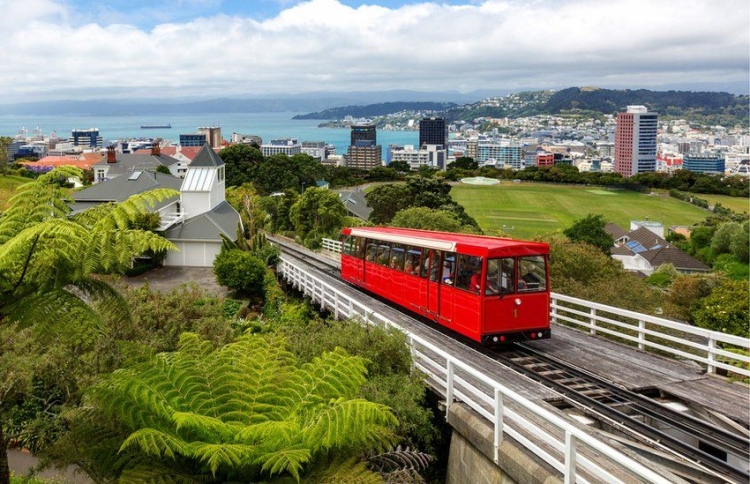 ކޮވިޑްގެ ފުރަބަންދަށް ފަހު ނިއު ޒީލޭންޑް ހުޅުވާލައިފި