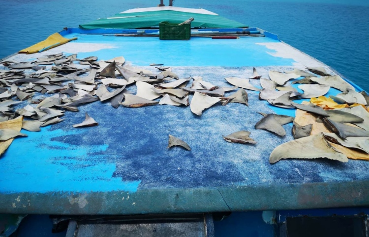 މިޔަރުގެ މަސްވެރިކަމަށް ނޮވެމްބަރު މަހު ހުއްދަ ދެނީ