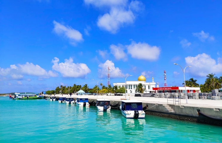 ފީނަން ގޮސް އުޅެނިކޮށް އުނގޫފާރު ޒުވާނަކު މަރުވެއްޖެ