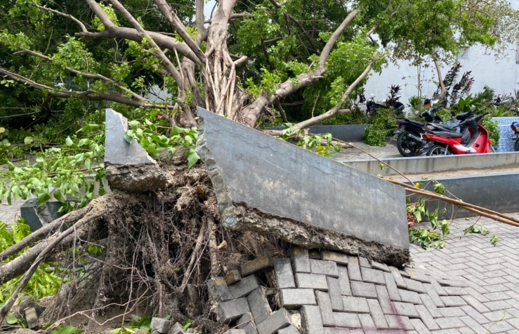 ގަދަ ވައިގައި މާލެ އާއި ރަށްރަށަށް ގެއްލުންތަކެއް