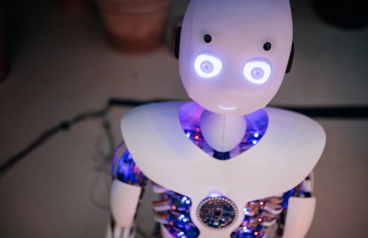 ދިވެހި ދަރިވަރުން ޖަރުމަނުގެ ރޮބޮޓެއް ކޮންޓްރޯލްކޮށްފި