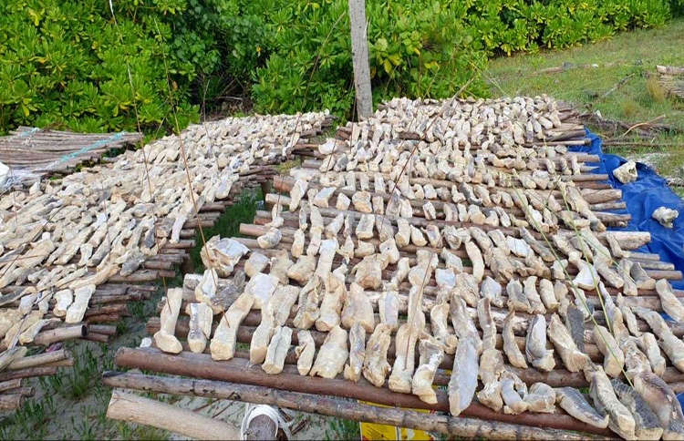 މިޔަރުގެ ވަގު ވިޔަފާރިއަށް ފުރުސަތެއް ނެތް: މިނިސްޓްރީ