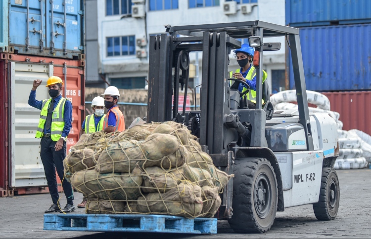 ތަމްރީނުވުމަށް އެމްޕީއެލްގައި 50 ޖާގަ ހުޅުވާލައިފި