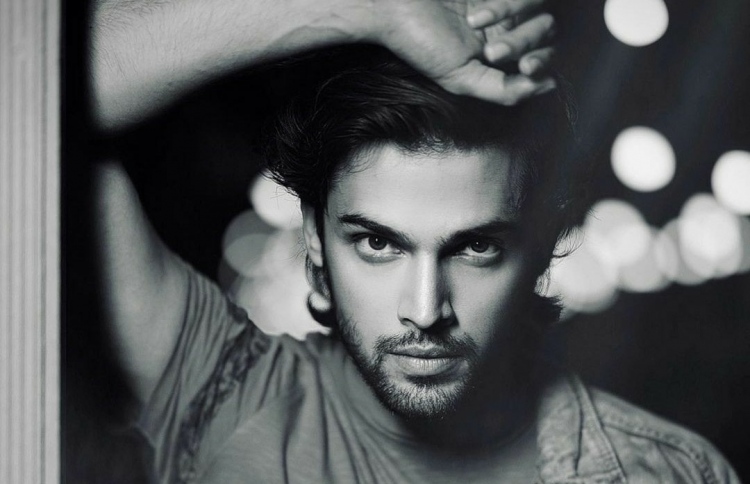 ވެބް ސީރީޒެއްގައި ޕާތުގެ ނެގެޓިވް ރޯލެއް