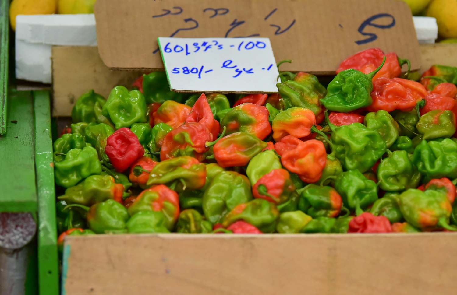 މާރުކޭޓުގައި މިރުސްތަކެއް ވިއްކަން ބަހައްޓާފައި-- ފޮޓޯ: އަހުމަދު އަވްޝަން/މިހާރު