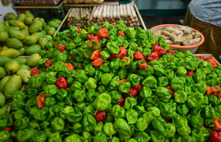 އަގުބޮޑު ކަނޑޫދޫ މިރުސް ސޭލް އަޅުވާފައި!