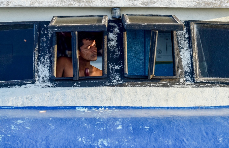 ބިދޭސީން ގެންނަން އޮޅުވާލައިގެން ޕޯޓަލްތަކެއް ހިންގަނީ