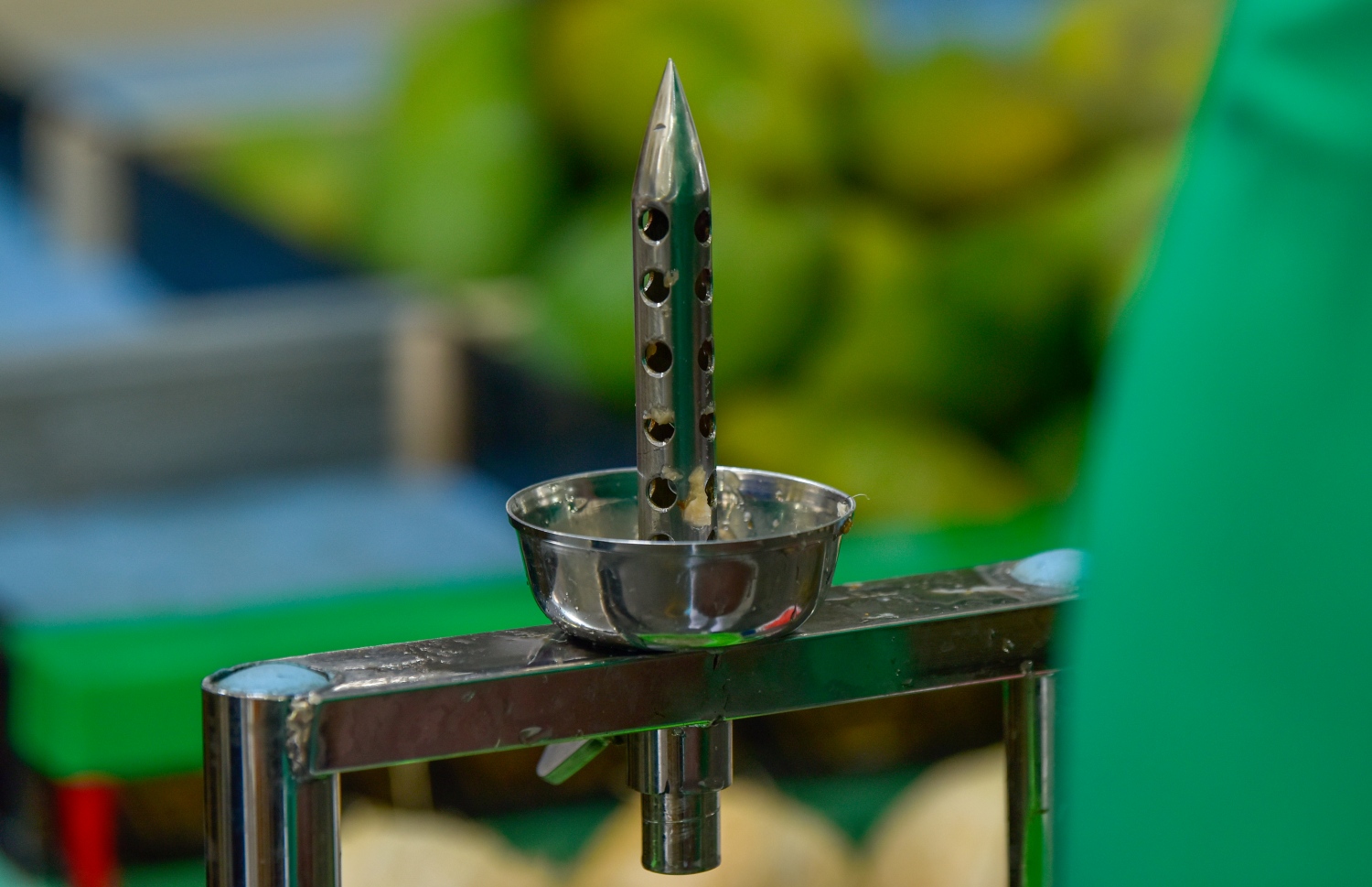 ކުރުނބާ ހަދާ މެޝިނުގެ އެންމެ މުހިންމު ބައި: މިތަނަށް ކުރުނބާ ހެރުމުން އޭގެ ތެރޭގައި ހުންނަ ފެން ފަސޭހަ ކަމާއެކު ކޫލަރަށް ނަގައިދޭ-- ފޮޓޯ: އަހުމަދު އަވްޝަން/މިހާރު