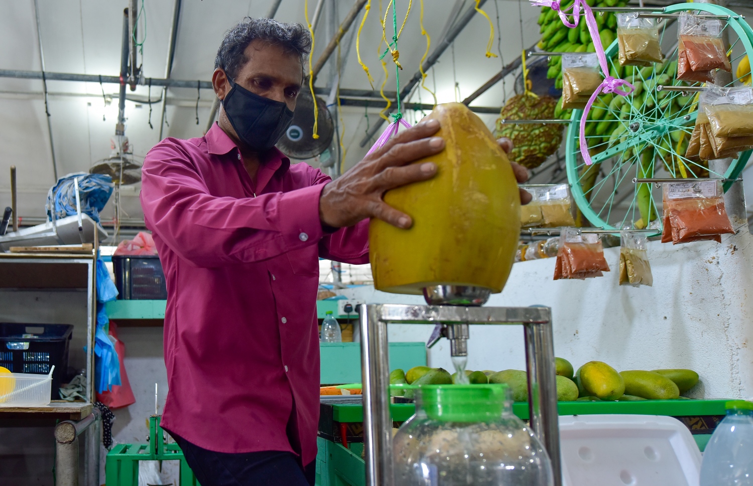 ކުރުނބާ ހަދާ މެޝިން ބޭނުން ކޮށްގެން ނާޒިމް ކުރުނބާ ފެން ނަގަނީ- ފޮޓޯ: އަހުމަދު އަވްޝަން/މިހާރު