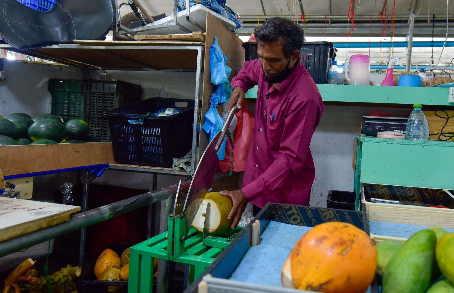 ނާޒިމް އަމިއްލައަށް ހެދި ކުރި ކުރުނބާ ފަޅާ މެޝިނުން ކުރުނބާއެއް ފަޅަނީ-- ފޮޓޯ: އަހުމަދު އަވްޝަން/ މިހާރު