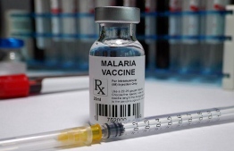 [File] Malaria Vaccine in trial stages