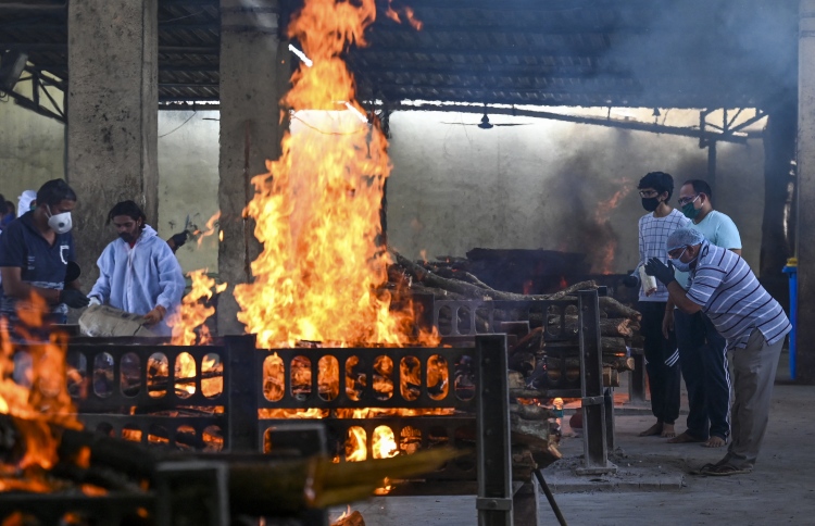 "މަރުވި" މީހަކު އަންދާލަނިކޮށް ނޭވާލަން ފަށައިފި