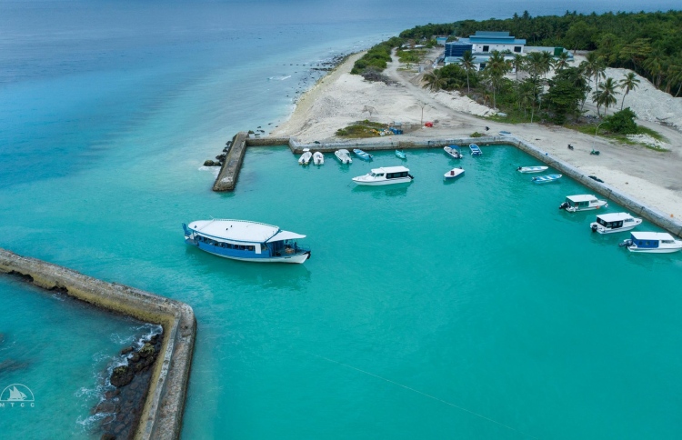 އެމްޓީސީސީ ފެރީ ނިޒާމު: 50 ޕަސެންޓަކީ އަންހެނުން