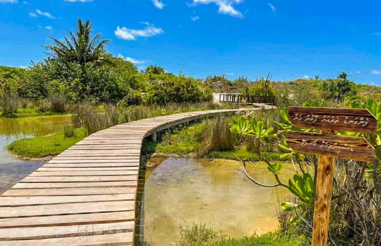 ހޯނޑެއްދޫން 15 ވަރަކަށް ކިލޯގެ ޑްރަގު ފެނިއްޖެ