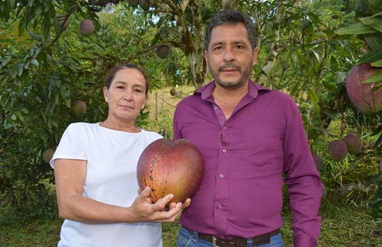 އެންމެ ބޮޑު އަނބުގައި 4.25 ކިލޯ