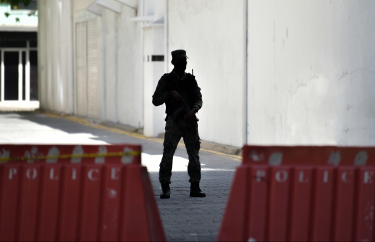 ސިފައިންގެ މީހަކު ރަހީނުކޮށް، ފައިސާ ހޯދަން އުޅެފި