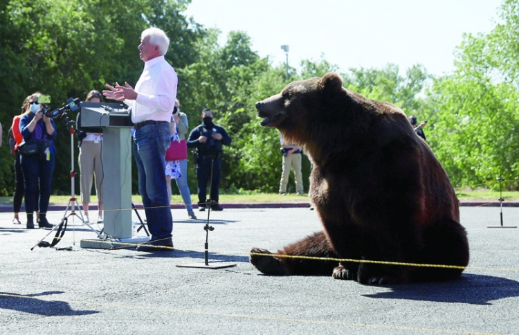 ކެންޑިޑޭޓެއްގެ ކެމްޕޭނަށް ސާރިދޯޅެއް