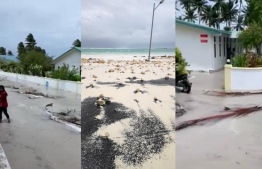 Damages to Hoarafushi due to surge waves