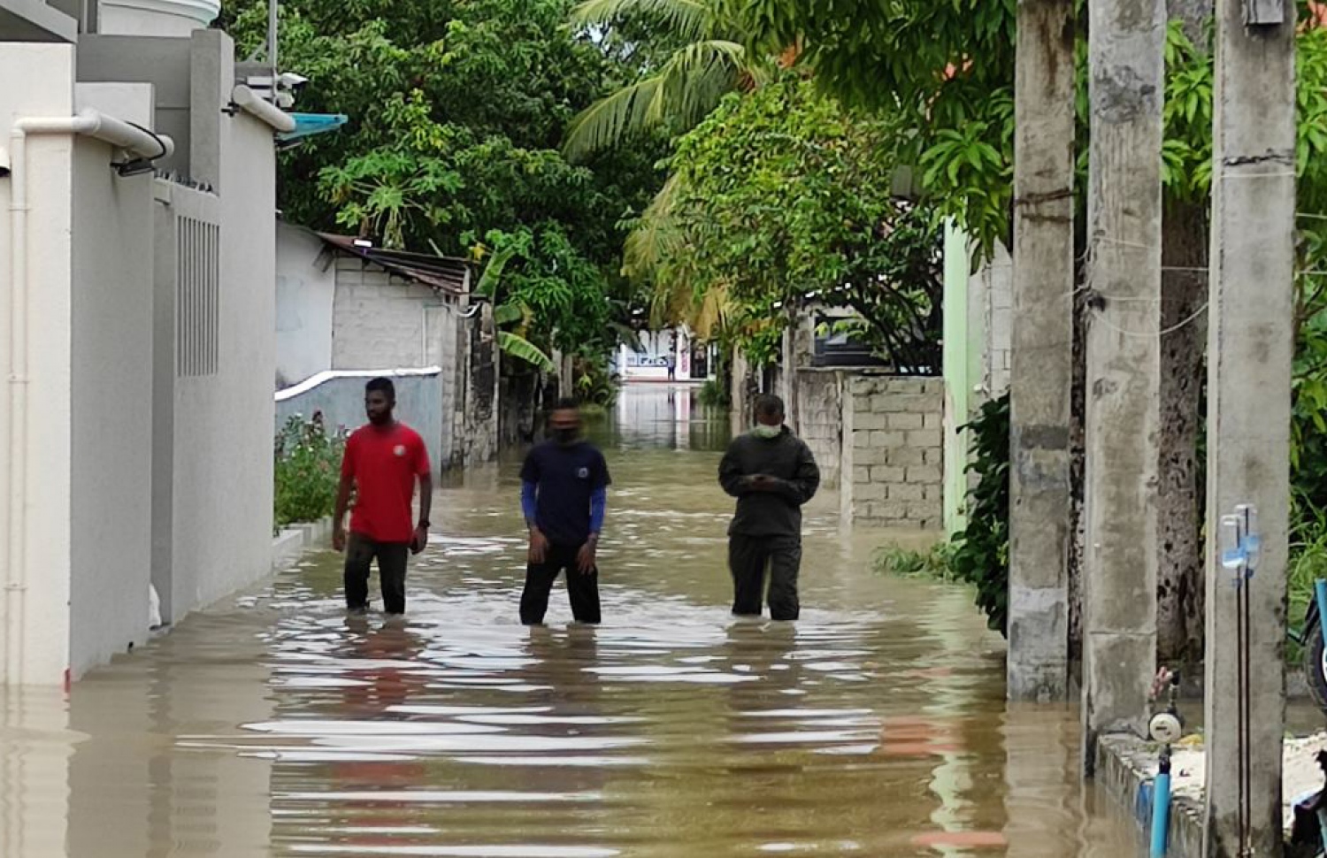 އައްޑޫ ވިއްސާރައިގެ ތެރެއިން.