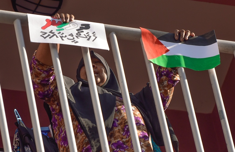 A woman holding a Palestinian flag and a poster that says "Maldivians with Palestine," in Dhivehi -- Photo: Nishan Ali/ Mihaaru