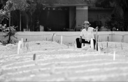 (FILE) A man sits in the Hulhumale’ graveyard: four people have passed away from COVID this month -- Photo: Nishan Ali/ Mihaaru