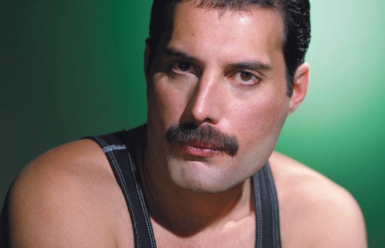 ފްރެޑީ މާކިއުރީގެ ވާހަކަ ތަސްވީރުން