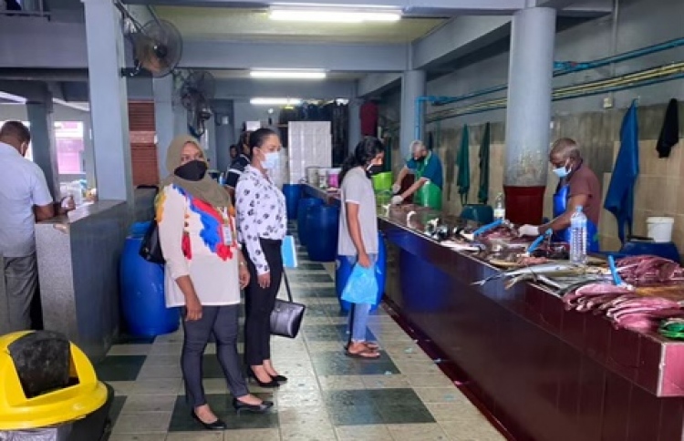 ވިލިމާލޭގައި ލޯކަލް މާރުކޭޓަކާއި މަސްމާރުކޭޓެއް ހުޅުވަނީ