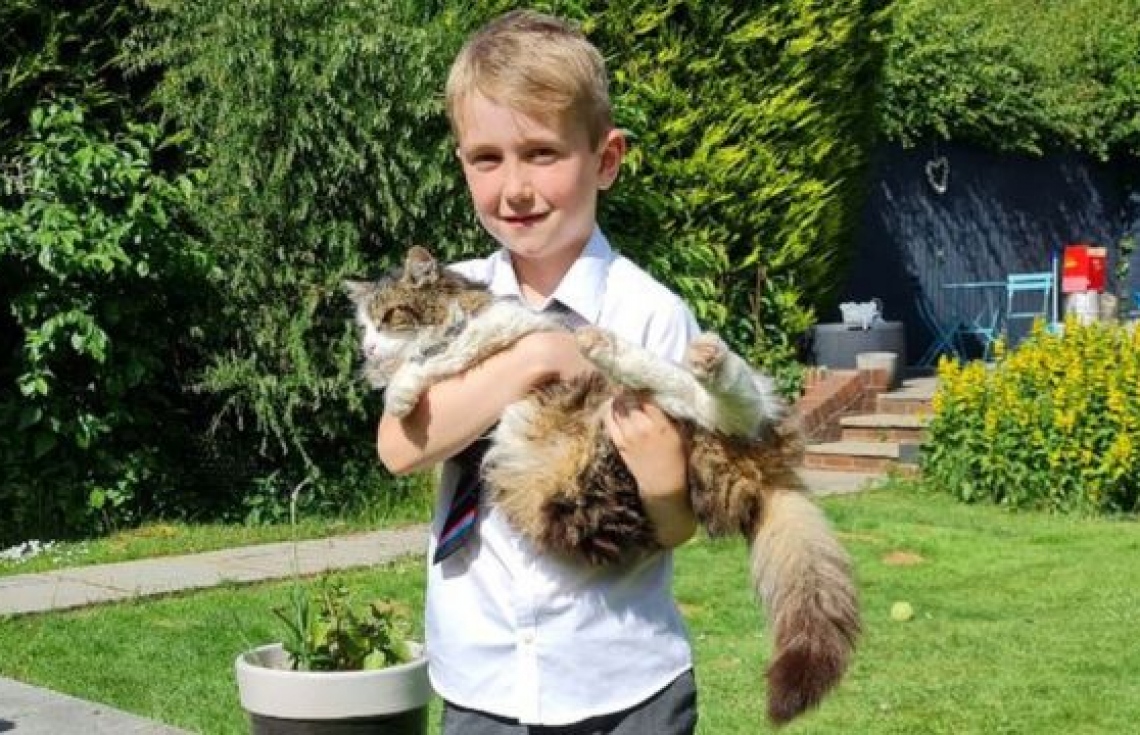 "މަރުވެގެން އަންދާލިފަހުން" ބުޅާ އައީ ގެޔަށް