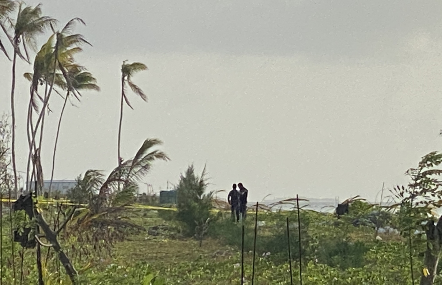 ހުޅުމާލޭގެ ދެވަނަ ފިޔަވަހީގައި ކުއްޖާ މަރާލާފައިވާ އޮއްވައި ފެނުނު ސަރަހައްދުގައި ފުލުހުން. -- ފޮޓޯ:/މިހާރު