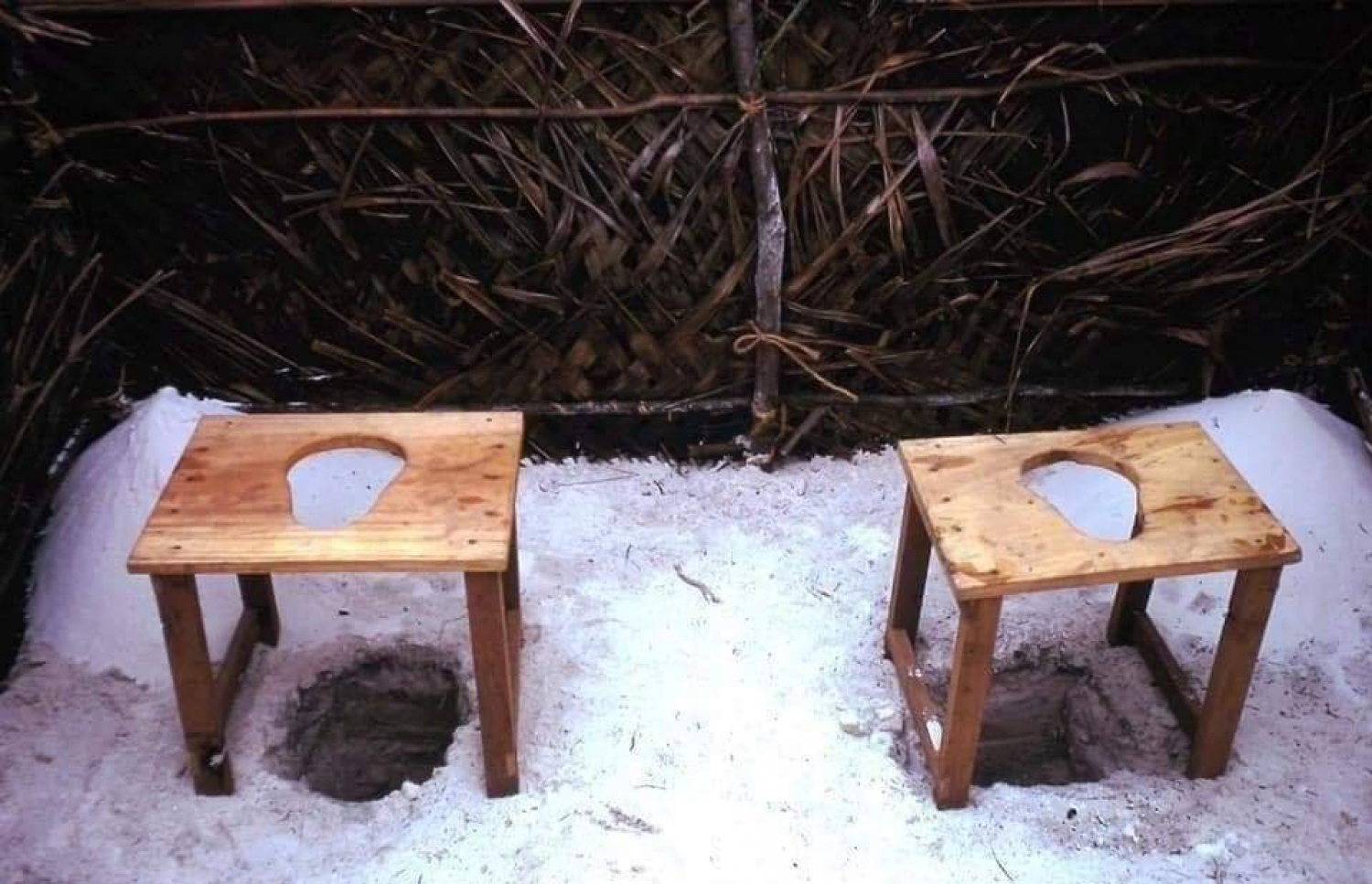 ރާއްޖެ އަށް ޓޫރިޒަމް ތައާރަފުވިތާ ކުރީކޮޅު ޓޫރިސްޓުން ފާހާނާ އަށް ދިއުމުގެ ހާލަތު ހުރި ގޮތް.