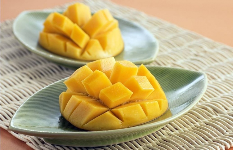 ޕާކިސްތާނުގައި "ޝުގަ ފްރީ" އަނބު ހައްދައި ވިއްކަނީ