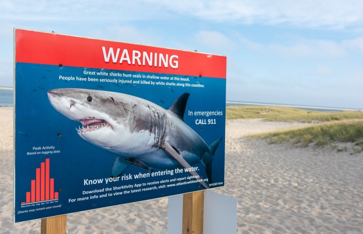 މިޔަރެއް ފެނުން މައްޗަށް އަރައި ފުންނާބު ކާލައިފި